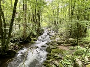 Great Smoky Mountain National Park