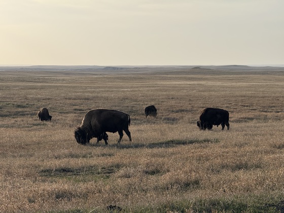 Badlands National Park
