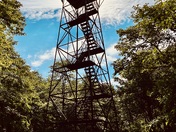 Mount Davis, Forbes State Forest