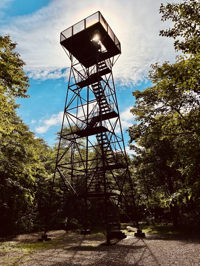 Mount Davis, Forbes State Forest