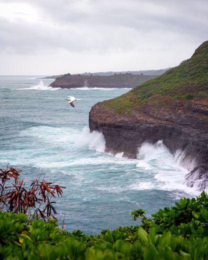 Kilauea Lighthouse