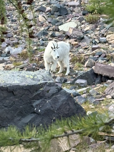 Glacier National Park