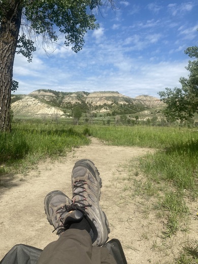 Teddy Roosevelt National Park