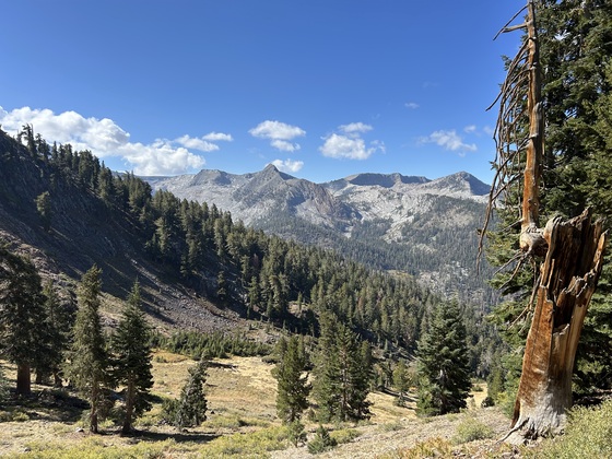 Mineral King Backcountry Area 