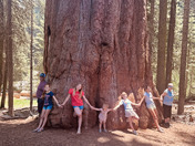 Sequoia National Park