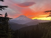 Mt Rainier National Park 