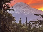 Mt Rainier National Park 