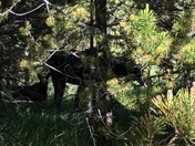 Rocky Mountain National Park