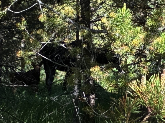 Rocky Mountain National Park