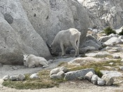 Alpine Lakes Wilderness