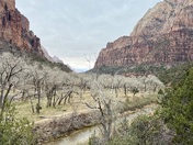 Zion National Park