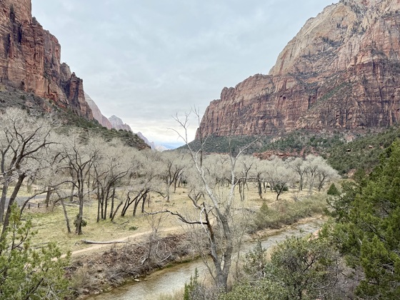 Zion National Park