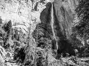 Yosemite National Park