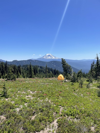 Goat Rocks Wilderness 