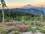 Goat Rocks Wilderness 