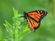 Biscayne National Park