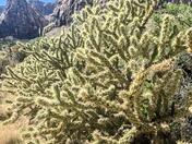 Lake Mead National Recreation Area