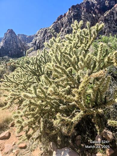 Lake Mead National Recreation Area