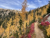 Okanogan-Wenatchee National Forest