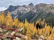 Okanogan-Wenatchee National Forest