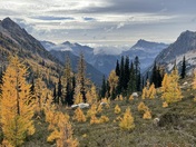 Okanogan-Wenatchee National Forest