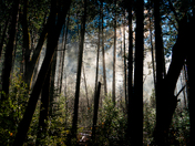 Yosemite National Park