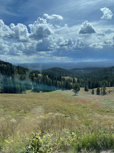 Yellowstone National Park