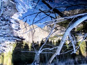 Yosemite National Park