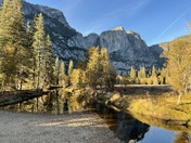 Yosemite National Forest