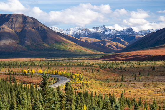 Denali National Park