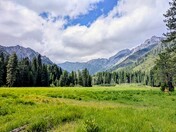 Shasta- Trinity National Forest Northern California 