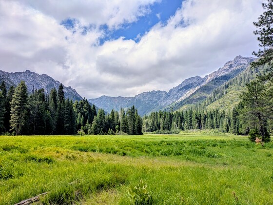 Shasta- Trinity National Forest Northern California 