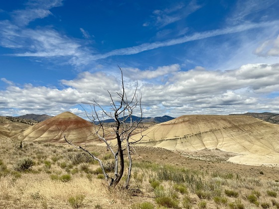 John Day Fossil Beds, Painted Hills