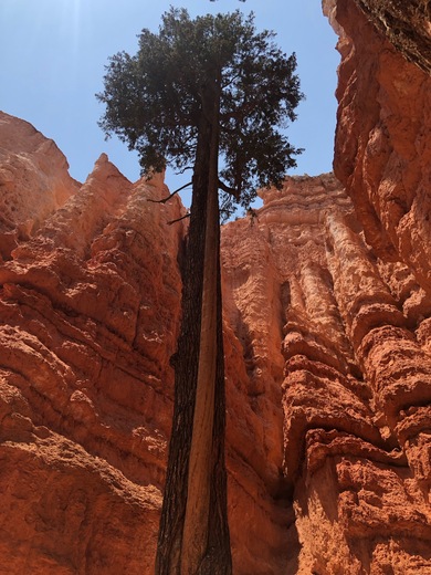 Bryce Canyon, Utah