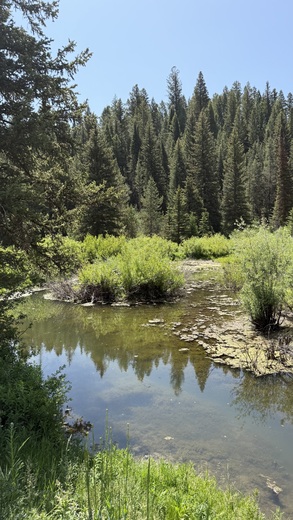 Caribou-Targhee National Forest