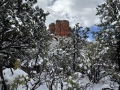 Coconino National Forest