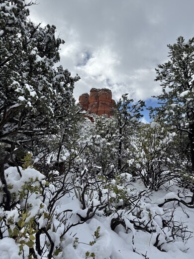 Coconino National Forest