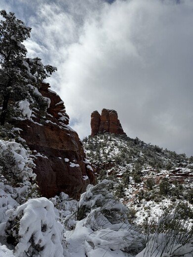 Coconino National Park