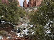 Coconino National Forest