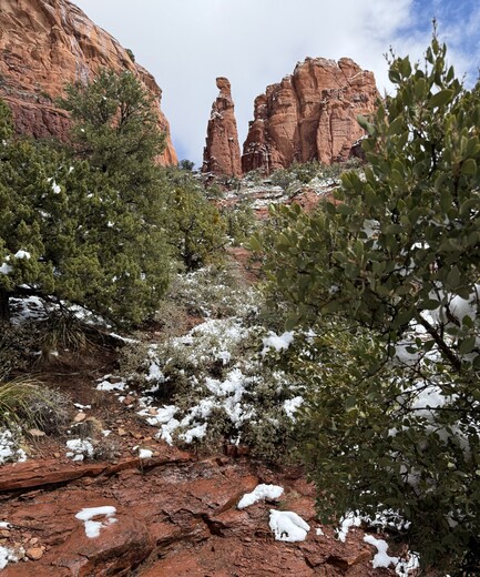 Coconino National Forest