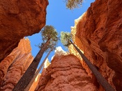 Bryce Canyon National Park