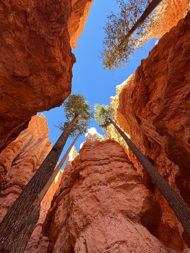 Bryce Canyon National Park