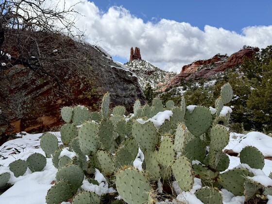 Coconino National Park