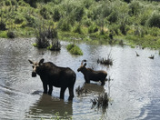 Grand Canyon National Park 