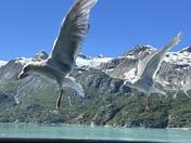 Glacier Bay National Park 