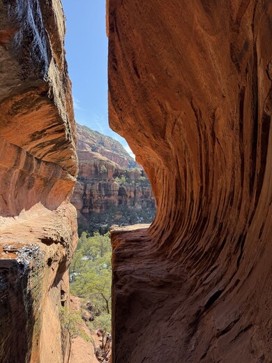 Coconino National Park