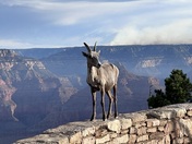 Grand Canyon National Park