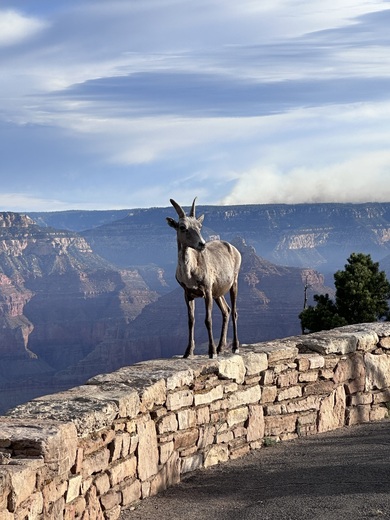 Grand Canyon National Park