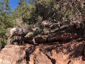 Grand Canyon National Park