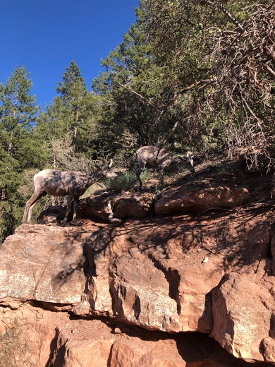 Grand Canyon National Park